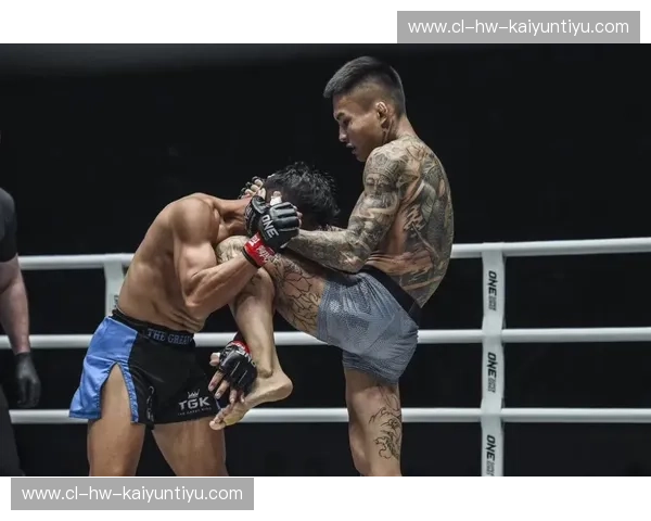 狂放的艺术与铁拳的咆哮:深度复盘vs潇杀狂视频背后的格斗美学